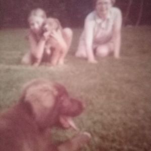 Meet your Posher, Tracy